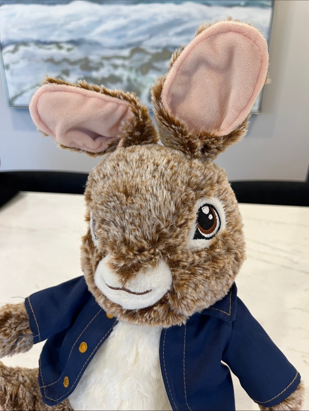 Brown & White Plush Peter Rabbit Bunny with Navy Jacket - Soft Stuffed Animal - Picture 2 of 5
